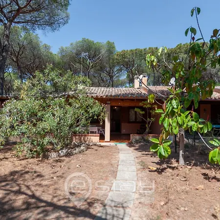 Garden Pine House فورت فيليدج