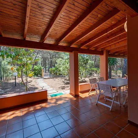 Pine Forest - Near The Beach Villa *