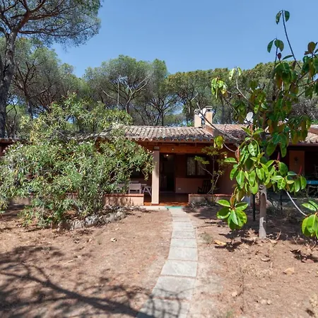 Pine Forest - Near The Beach Villa