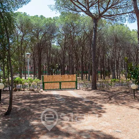Garden Pine House *