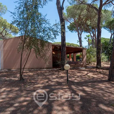Garden Pine House