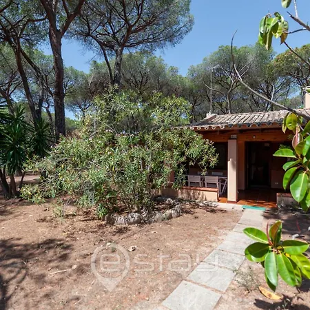 Garden Pine House *