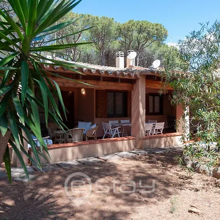 Garden Pine House